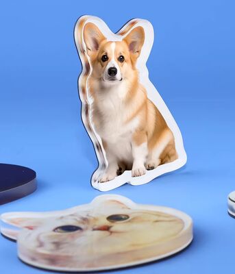 ভালো দাম হ্যাপি গিফট কাস্টম ম্যানুফ্যাকচার পেট ডিজাইন অ্যাক্রিলিক ফ্রিজ ম্যাগনেট কিউট অ্যানিমে কাস্টমাইজেশন হলোগ্রাফিক প্লাস্টিক স্টিকার অনলাইন